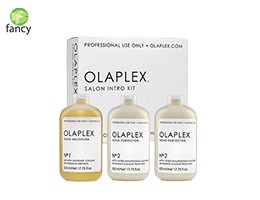Olaplex Salon Intro Kit